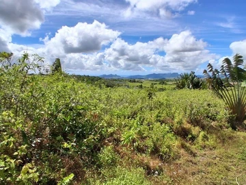 Terrain Agricole