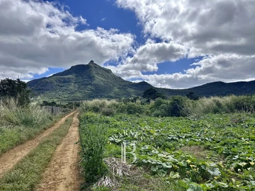 Terrain Agricole
