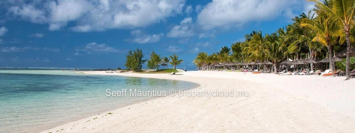 Exceptional Freehold Beachfront Signature Homes