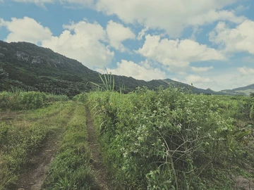 Terrain Agricole