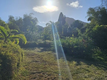 Terrain Résidentiel