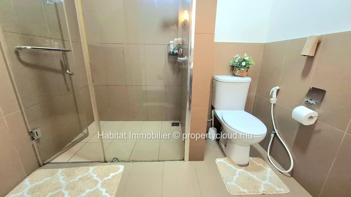 Découvrez un mode de vie élégant dans ce 183m² duplex penthouse entièrement meublé, alliant espace, praticité et empl...