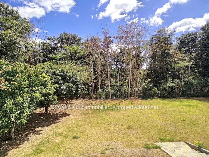 Beautiful house with swimming pool on a large plot of land in front of a river