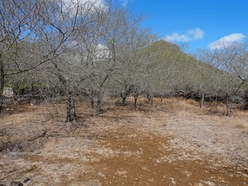 Terrain