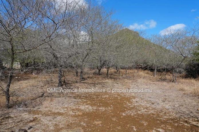 3,311 m² Freehold Land | Mountain Views and River Access