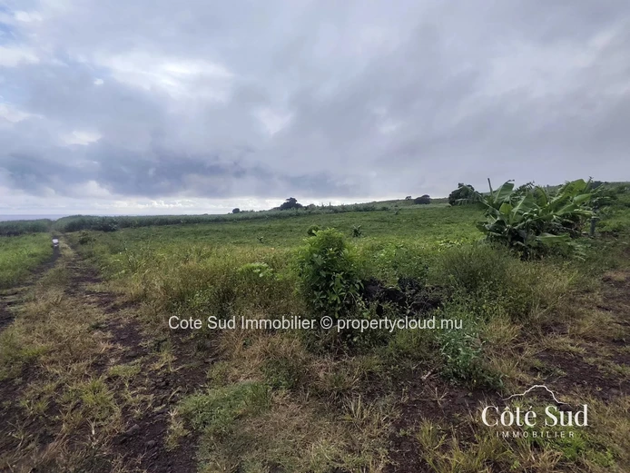 Spacious agricultural land in La Martinière, Savanne