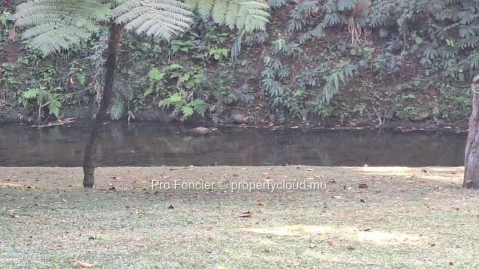 Apartment for rent in Moka - River view