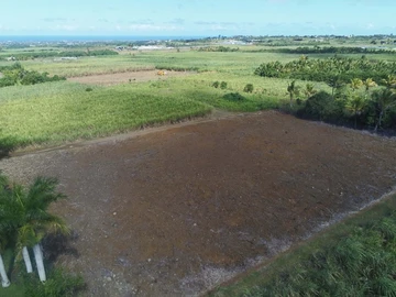 Land