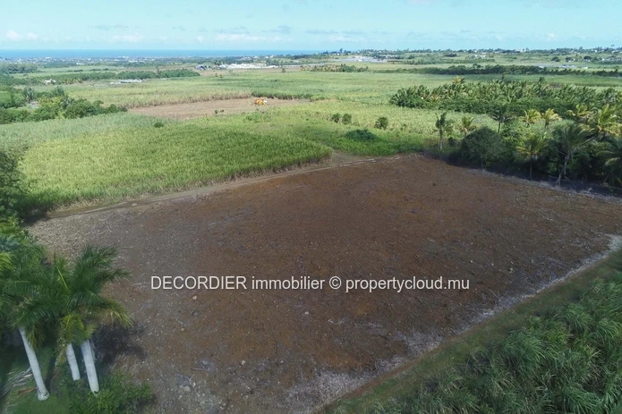Terrain agricole à vendre – Deux Bras