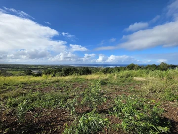Agricultural Land
