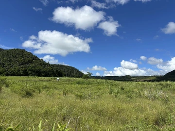Agricultural Land
