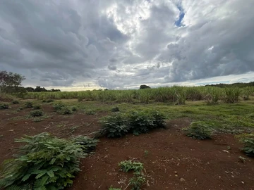 Terrain Agricole