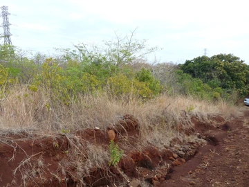 Residential Land