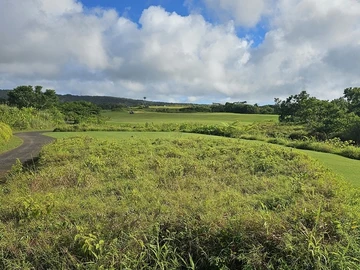 Residential Land