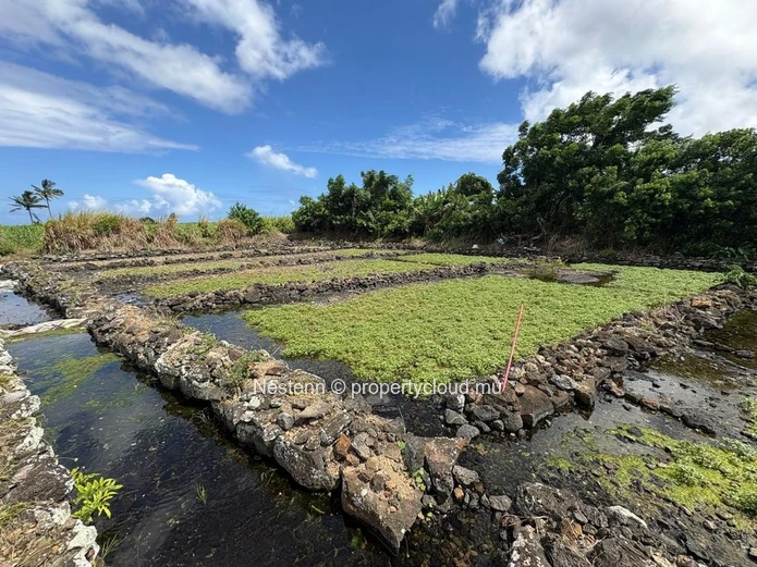 Terrain agricole de 30 perches bien entretenu et bien situé