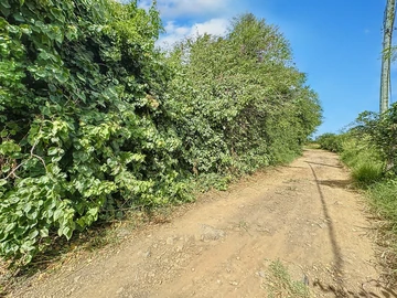 Terrain