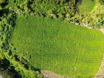 Terrain Agricole