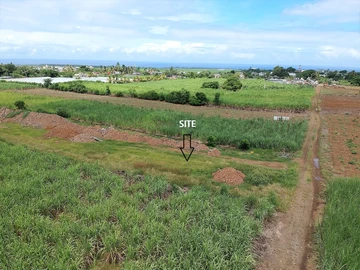 Agricultural Land