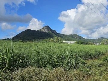 Terrain Agricole