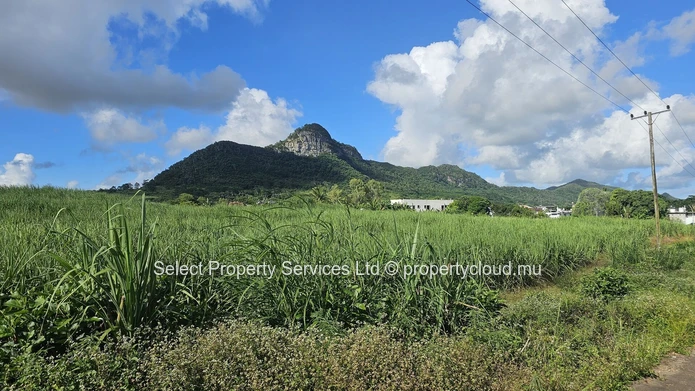 Agricultural Land for Sale - Morcellement - Montagne Blanche