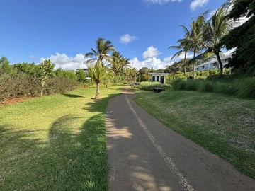 Terrain