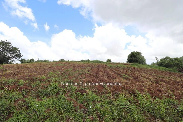 Residential Land with stunning mountain views (Lot 3)