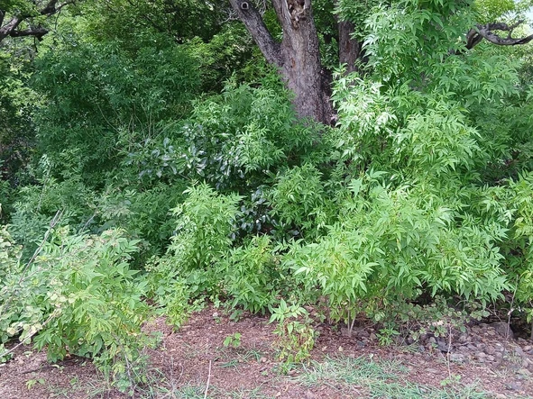 Exclusive Residential Plot for Sale – Gated Estate