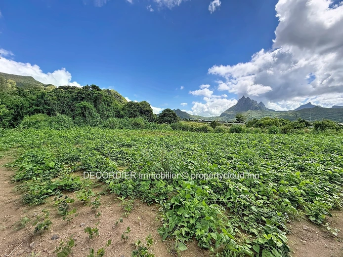 Rare sur le marché – Terrain agricole spacieux