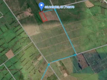 Agricultural Land
