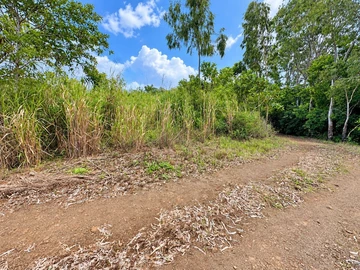 Agricultural Land