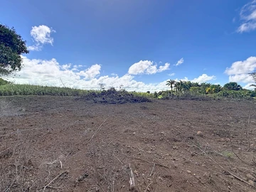 Land