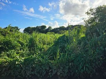 Terrain Agricole