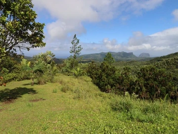 Commercial Land