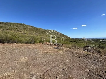 Residential Land