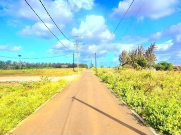 Terrain