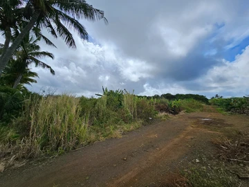 Agricultural Land