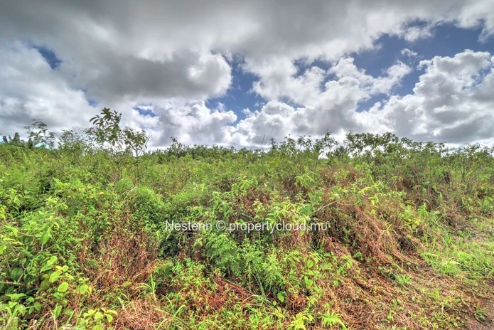 Terrain agricole de 2113m2