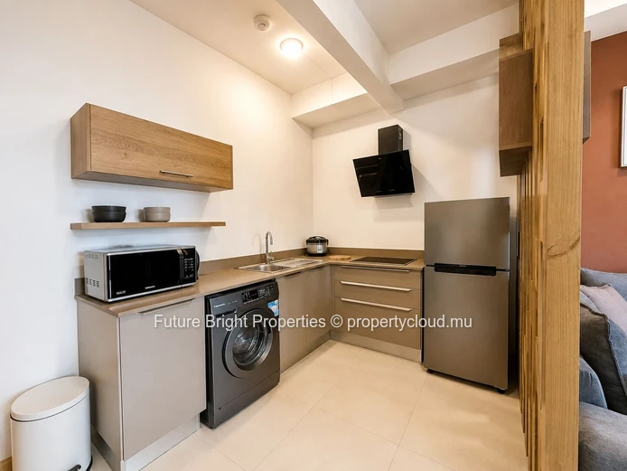 Furnished 1-Bedroom Apartment for Rent in Moka