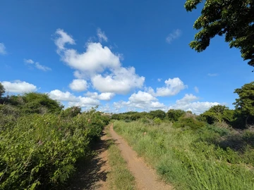 Residential Land