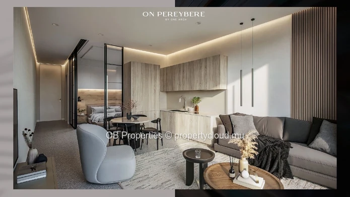 Luxury 1 Bedroom apartment with Private Rooftop Terrace