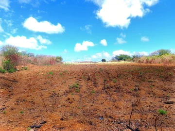 Residential Land