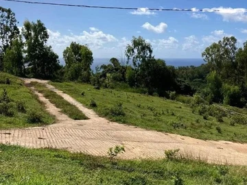 Commercial Land
