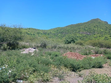 Terrain