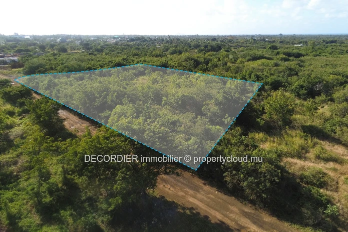 Agricultural Land for Sale – Saint Antoine