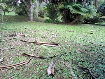 Residential Land