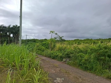 Agricultural Land