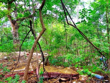 Residential Land
