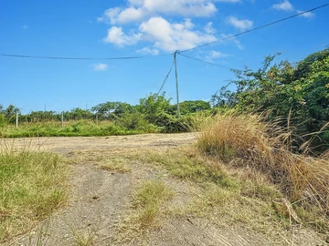 Terrain