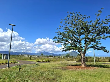 Residential Land