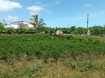 Residential Land